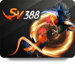 ทำไม Aw8 เป็นแพลตฟอร์มที่เหมาะสำหรับพรีเซนเตอร์